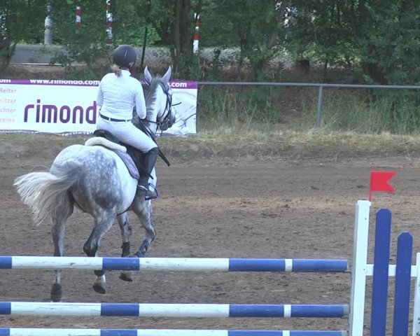 Reitturnier Wiesloch 2017