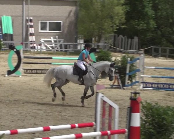 Reitturnier Kalenborn Hegehof 2017