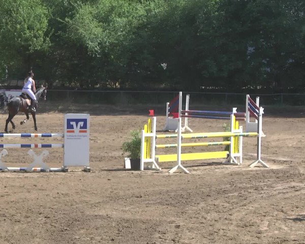 Reitturnier Wiesloch 2017
