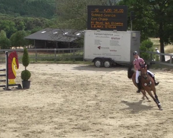 Reitturnier Kalenborn Hegehof 2017