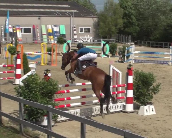 Reitturnier Kalenborn Hegehof 2017
