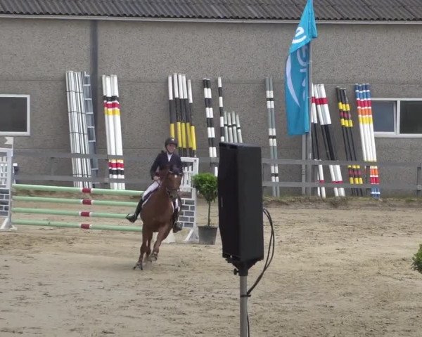 Reitturnier Kalenborn Hegehof 2017