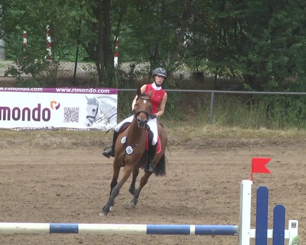 Reitturnier Wiesloch 2017
