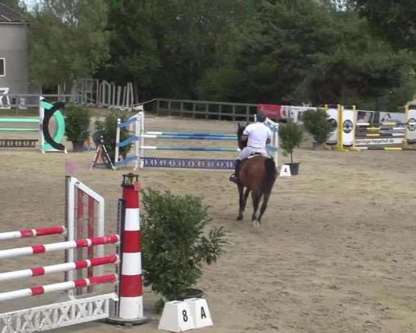 Reitturnier Kalenborn Hegehof 2017