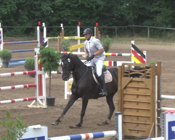 Reitturnier Wiesloch 2017