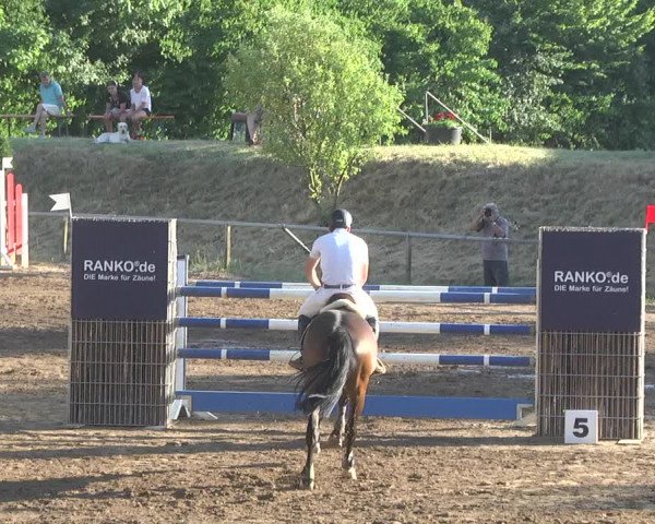 Reitturnier Wiesloch 2017