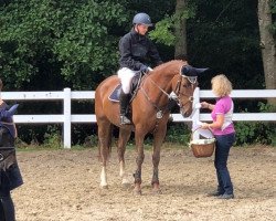 broodmare Carrica S (Oldenburg show jumper, 2012, from Carrico)