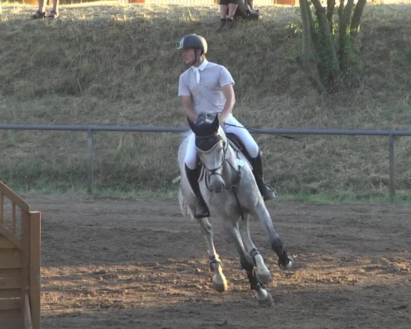Reitturnier Wiesloch 2017
