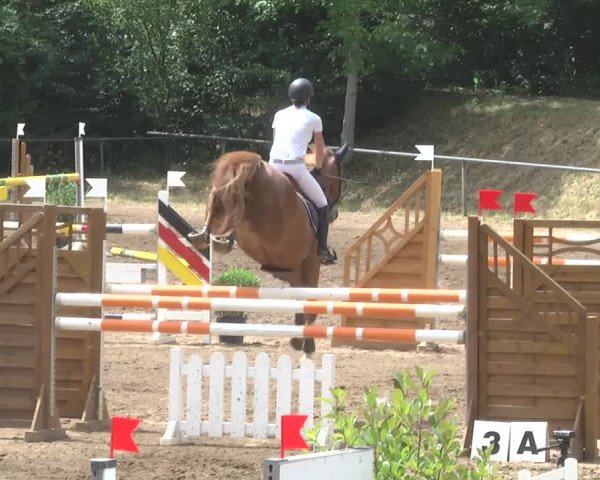 Reitturnier Wiesloch 2017