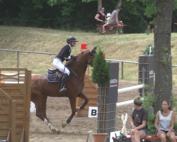 Reitturnier Wiesloch 2017