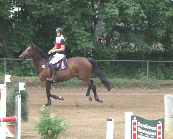 Reitturnier Wiesloch 2017