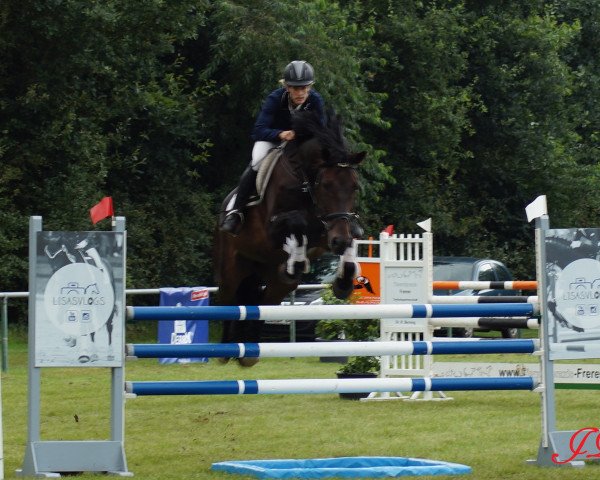horse Don Juan (Oldenburg show jumper,  , from Don Romantic)