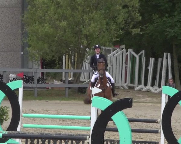 Reitturnier Kalenborn Hegehof 2017