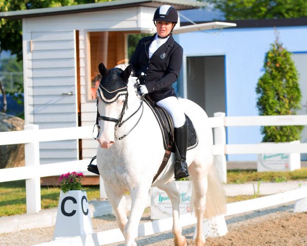 Pferd Vidoc CH (Freiberger, 2007)