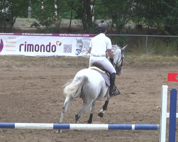 Reitturnier Wiesloch 2017