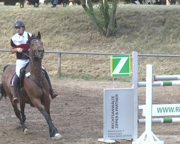 Reitturnier Wiesloch 2017