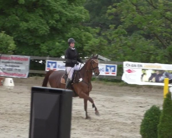 Reitturnier Kalenborn Hegehof 2017