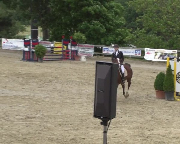 Reitturnier Kalenborn Hegehof 2017
