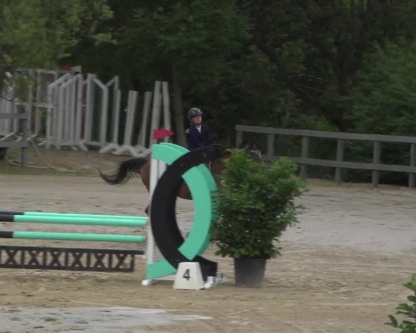 Reitturnier Kalenborn Hegehof 2017
