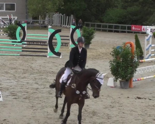 Reitturnier Kalenborn Hegehof 2017