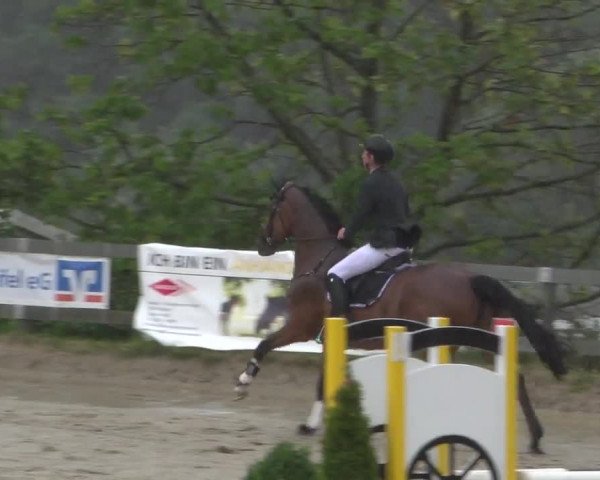 Reitturnier Kalenborn Hegehof 2017