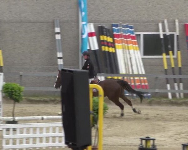 Reitturnier Kalenborn Hegehof 2017