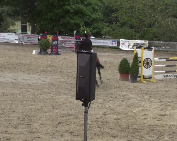 Reitturnier Kalenborn Hegehof 2017