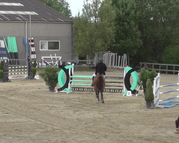 Reitturnier Kalenborn Hegehof 2017