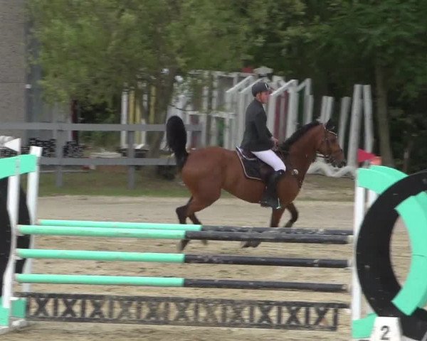 Reitturnier Kalenborn Hegehof 2017