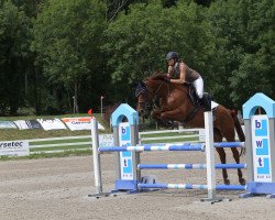 jumper Cofarrah (Holsteiner, 2012, from Corrado I)