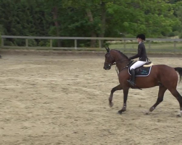 Reitturnier Kalenborn Hegehof 2017