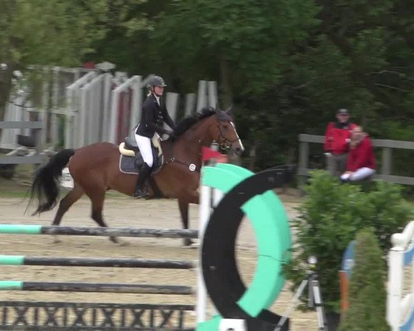 Reitturnier Kalenborn Hegehof 2017