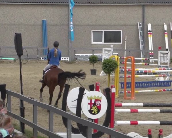 Reitturnier Kalenborn Hegehof 2017