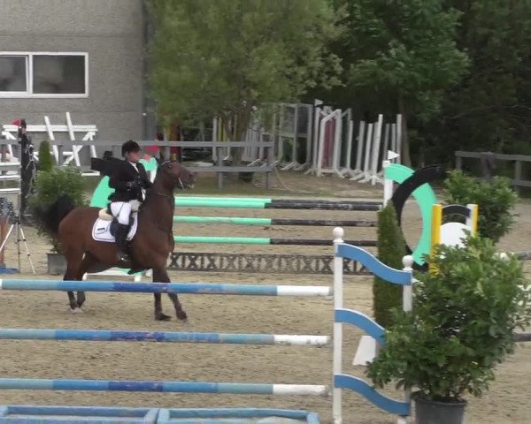 Reitturnier Kalenborn Hegehof 2017