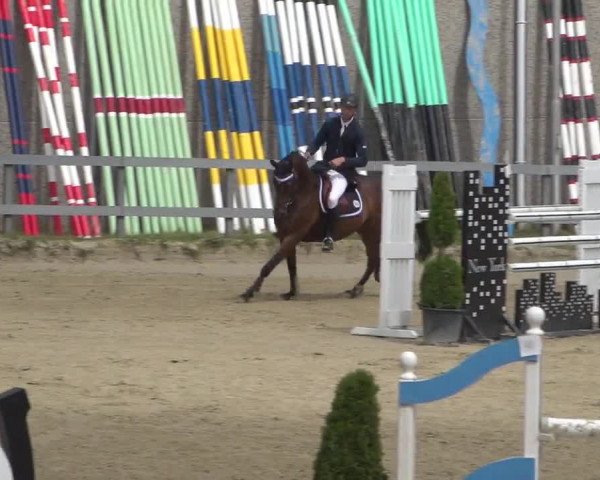 Reitturnier Kalenborn Hegehof 2017