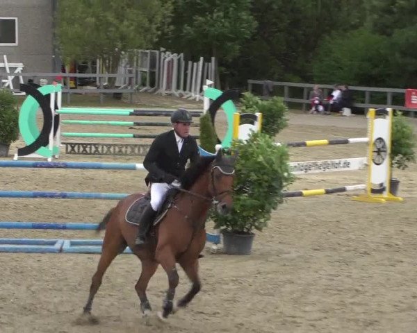 Reitturnier Kalenborn Hegehof 2017