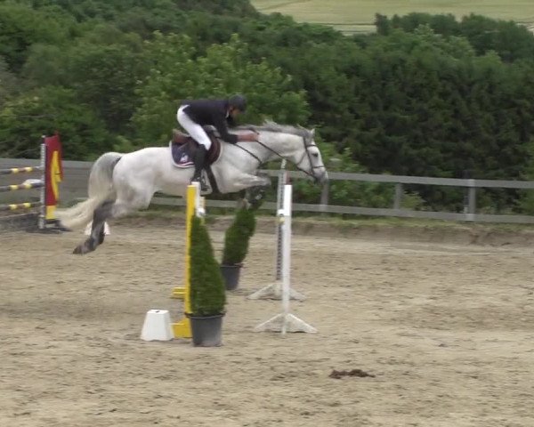 Reitturnier Kalenborn Hegehof 2017