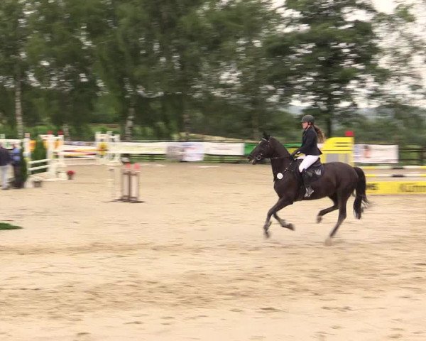 Reitturnier Schwerte-Gut Kückshausen 2017