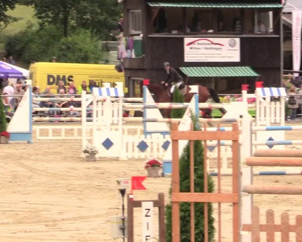 Reitturnier Schwerte-Gut Kückshausen 2017