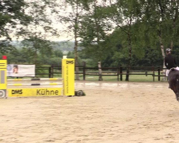 Reitturnier Schwerte-Gut Kückshausen 2017