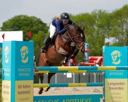 jumper Cyriac's Scarface (German Riding Pony, 2009, from Cyriac WE)