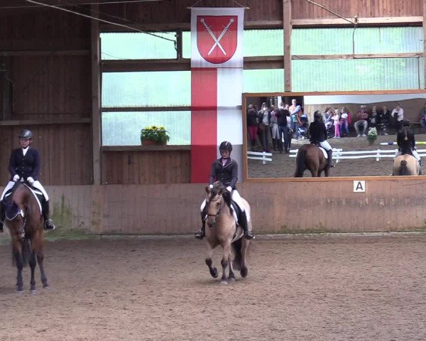 Reitturnier Schwerte-Gut Kückshausen 2017