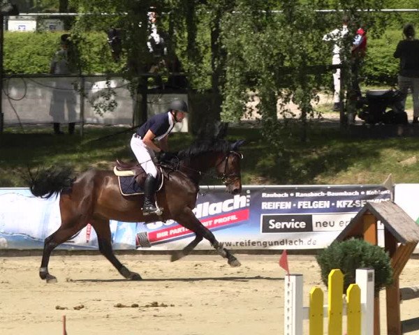 Reitturnier Kurtscheid 2017