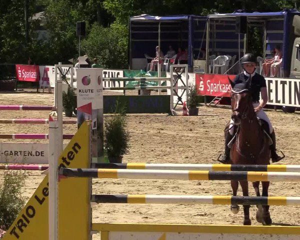Reitturnier Hamm-Rhynern 2017