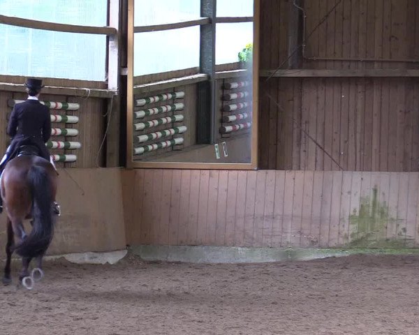 Reitturnier Schwerte-Gut Kückshausen 2017