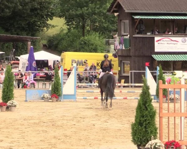 Reitturnier Schwerte-Gut Kückshausen 2017