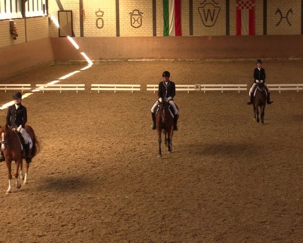 Reitturnier Hamm-Rhynern 2017