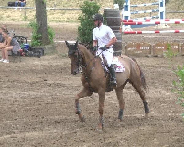 Reitturnier Wiesloch 2017
