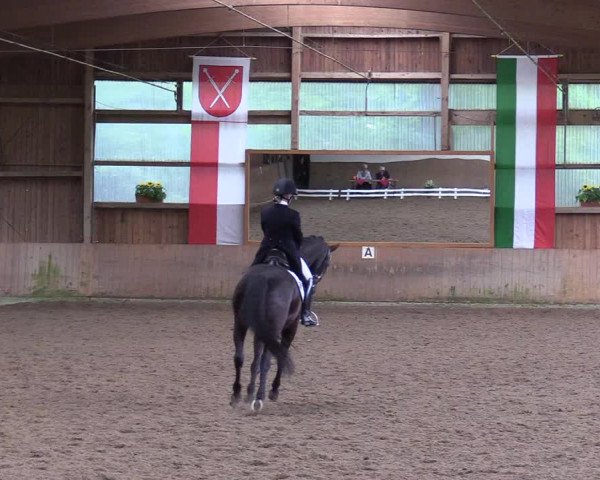 Reitturnier Schwerte-Gut Kückshausen 2017