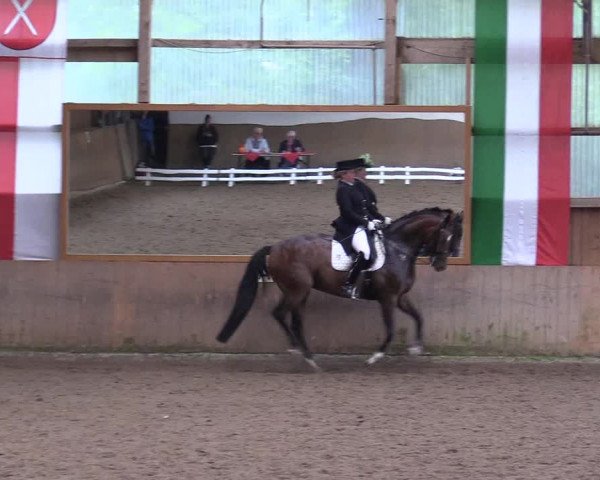 Reitturnier Schwerte-Gut Kückshausen 2017